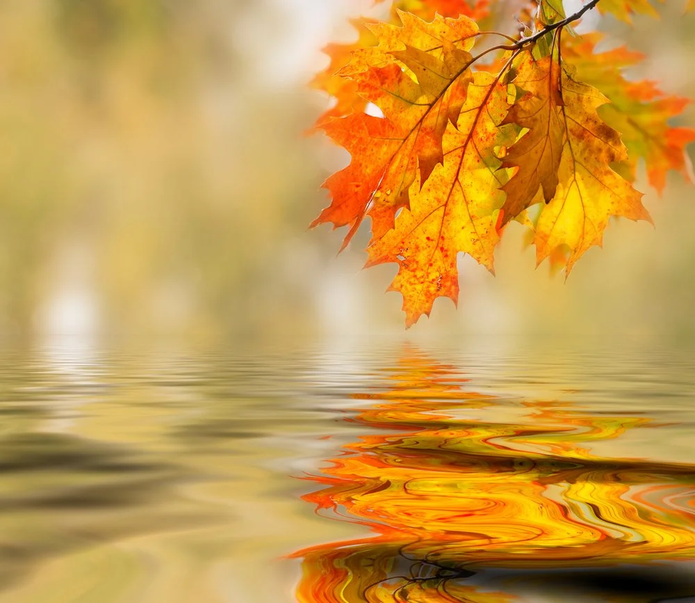 【 Reflecting on your Future Life 三恶趣苦】 If you contemplate how you have fallen into the ocean of suffering, you will then turn away from it, and thereby overcome ... 若自思堕苦海理，意生厌离，能息傲慢       