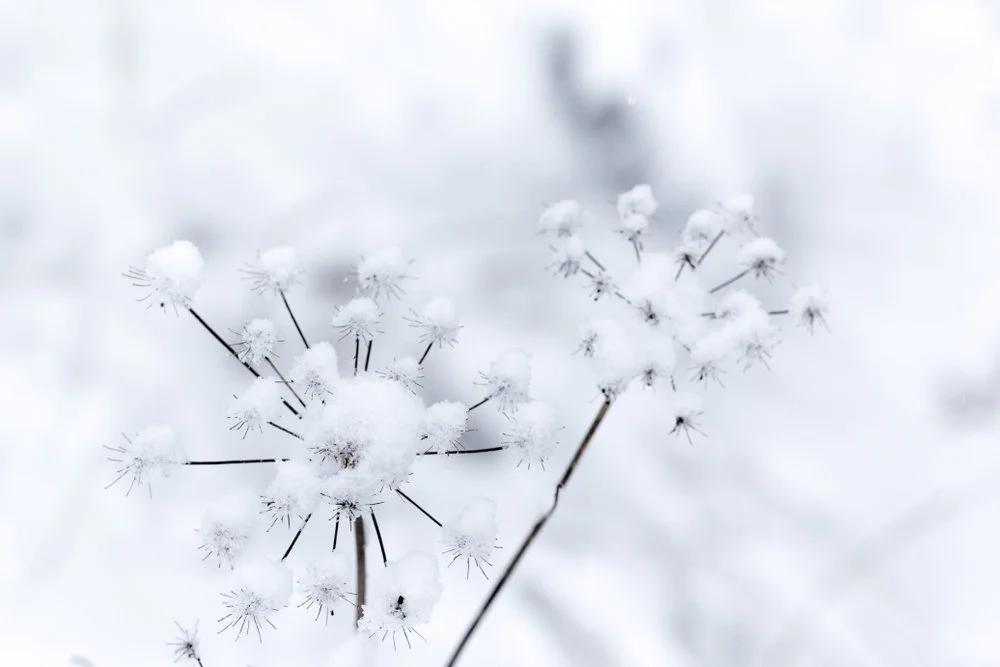 【 Reflecting on your Future Life 三恶趣苦】when unable to bring up the desire to practice, what can we do? 修行提不起来怎么办？     