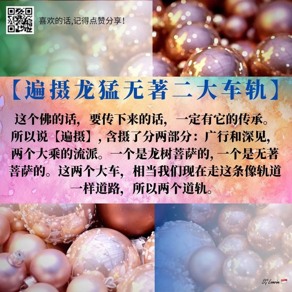 遍摄龙猛无著二大车轨