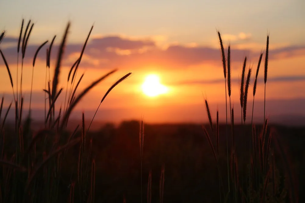 【 Reflecting on your Future Life 三恶趣苦】Meditate on suffering is the common foundation for the 3 types of persons   修苦为三士道的共基  