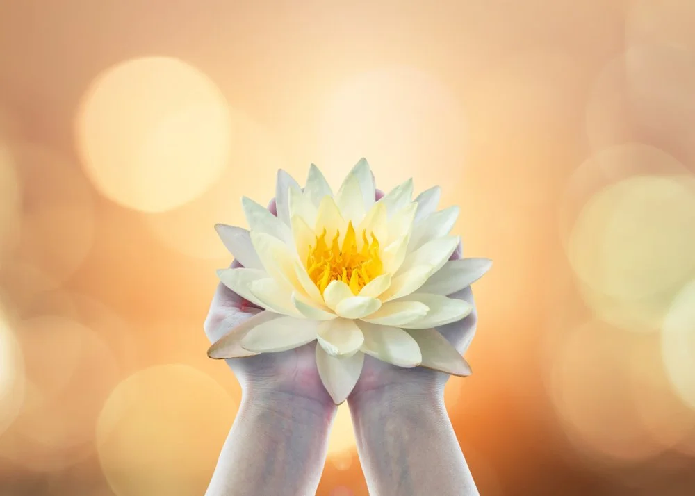 【 Going for Refuge to the Three Jewels 皈依 】The two causes of going for refuge to the three jewels  皈依二因       