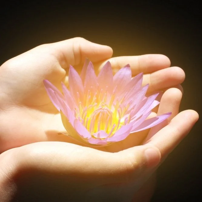 【 Going for Refuge to the Three Jewels 皈依 】going for refuge to Buddha 皈依佛