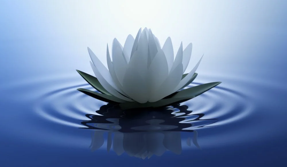 【 Going for Refuge to the Three Jewels 皈依 】Buddha’s Great Compassion  佛的大悲心