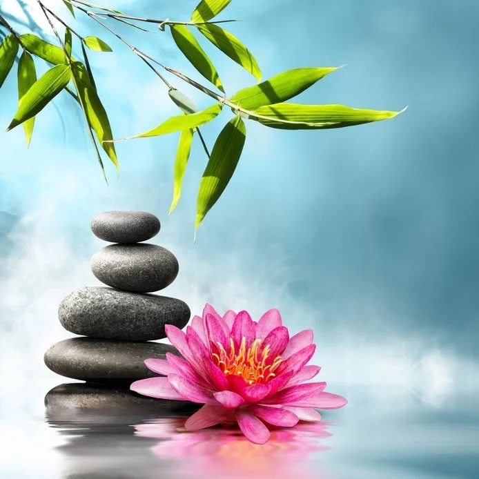 【 Going for Refuge to the Three Jewels 皈依 】Buddha’s Great Compassion 佛的大悲