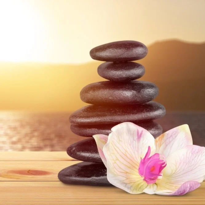 【 Going for Refuge to the Three Jewels 皈依 】Spurred by great compassion  大悲所转