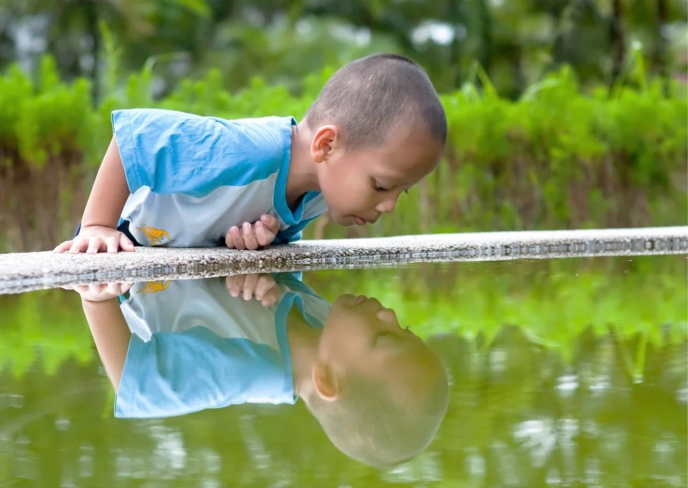 【 Going for Refuge to the Three Jewels 皈依 】Strive to reflect upon ourselves 努力地自己反省