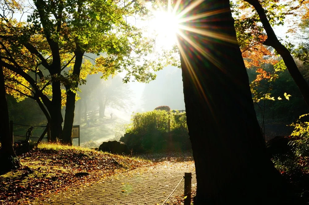 【 Going for Refuge to the Three Jewels 皈依 】Practice means to change, to correct 修就是修改  