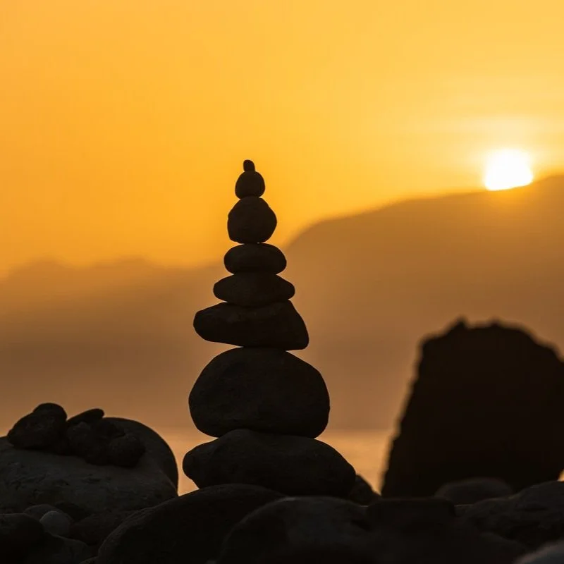【 Going for Refuge to the Three Jewels 皈依 】To benefit all living beings, may I become Buddha 为利有情愿当成佛