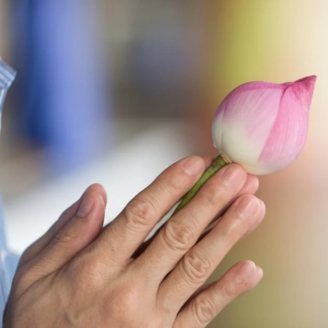 【 Going for Refuge to the Three Jewels 皈依 】Our vow for taking refuge 自誓皈依  