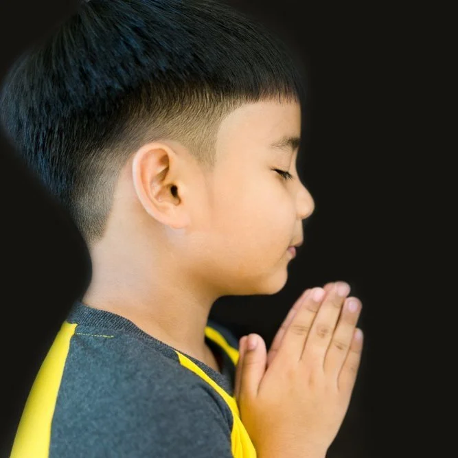 【 Going for Refuge to the Three Jewels 皈依 】Take refuge in Buddha and no longer take refuge in others   不言有余而正皈依