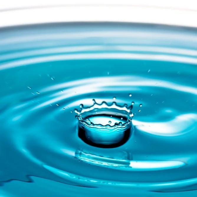 【 Going for Refuge to the Three Jewels 皈依 】 the characteristic of the teaching 法的特质  