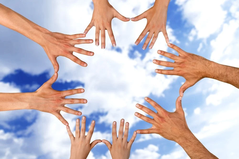 【 Going for Refuge to the Three Jewels 皈依 】when we cultivate, we need companions  依靠身边的同伴  