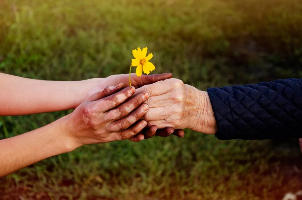 【 Going for Refuge to the Three Jewels 皈依 】Sympathy  怜悯    