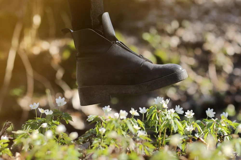 【 Going for Refuge to the Three Jewels 皈依 】The cause that ruins our wisdom 坏慧因       