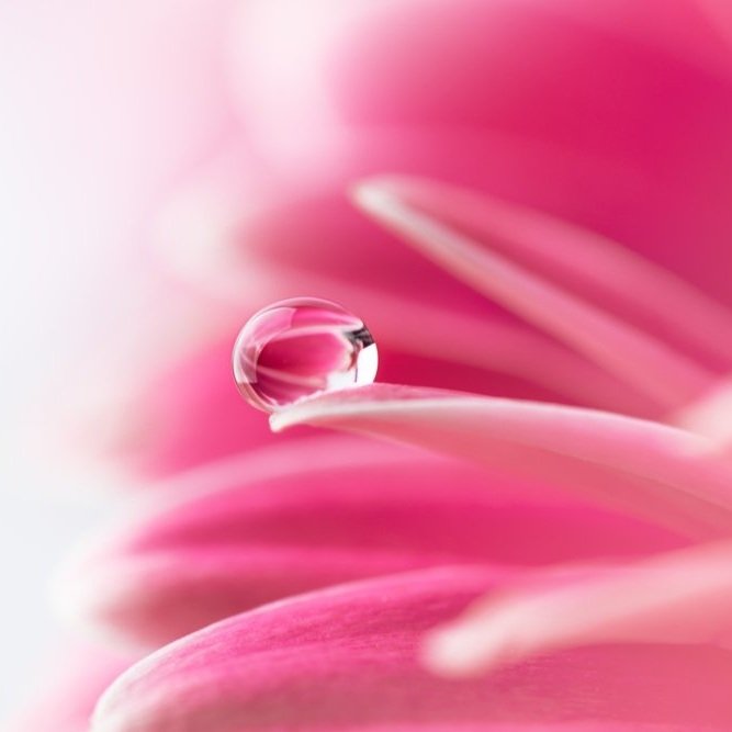 【 Going for Refuge to the Three Jewels 皈依 】Offerings that you help others to make     教他供养