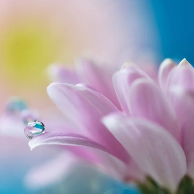 【 Going for Refuge to the Three Jewels 皈依 】 Six Attitudes of Offering 供养三宝的意乐1 