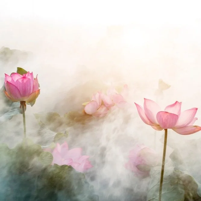 【 Going for Refuge to the Three Jewels 皈依 】《Man Fa Jing 》《慢法经》