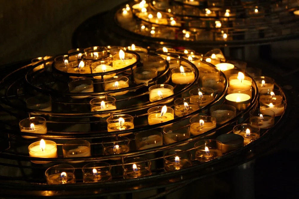 【 Going for Refuge to the Three Jewels 皈依 】How the great beings make their offerings to the Buddha?        大地菩萨怎么供佛？