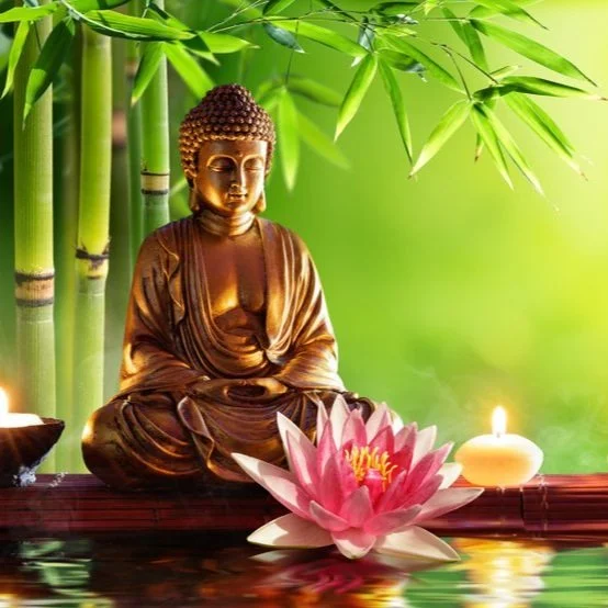【 Going for Refuge to the Three Jewels 皈依 】Buddha is the real teacher who shows and guides us on the path 佛是示道大师