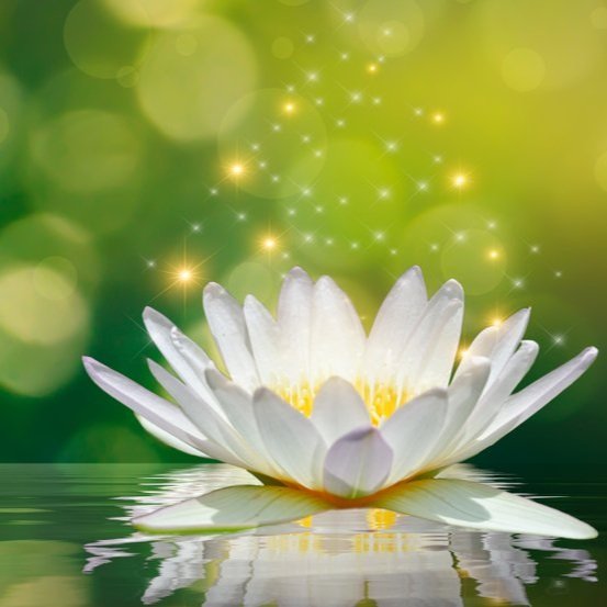 【 Going for Refuge to the Three Jewels 皈依 】the merit of going for refuge, even these three realms would be too small 皈依的福报，三界器犹狭  