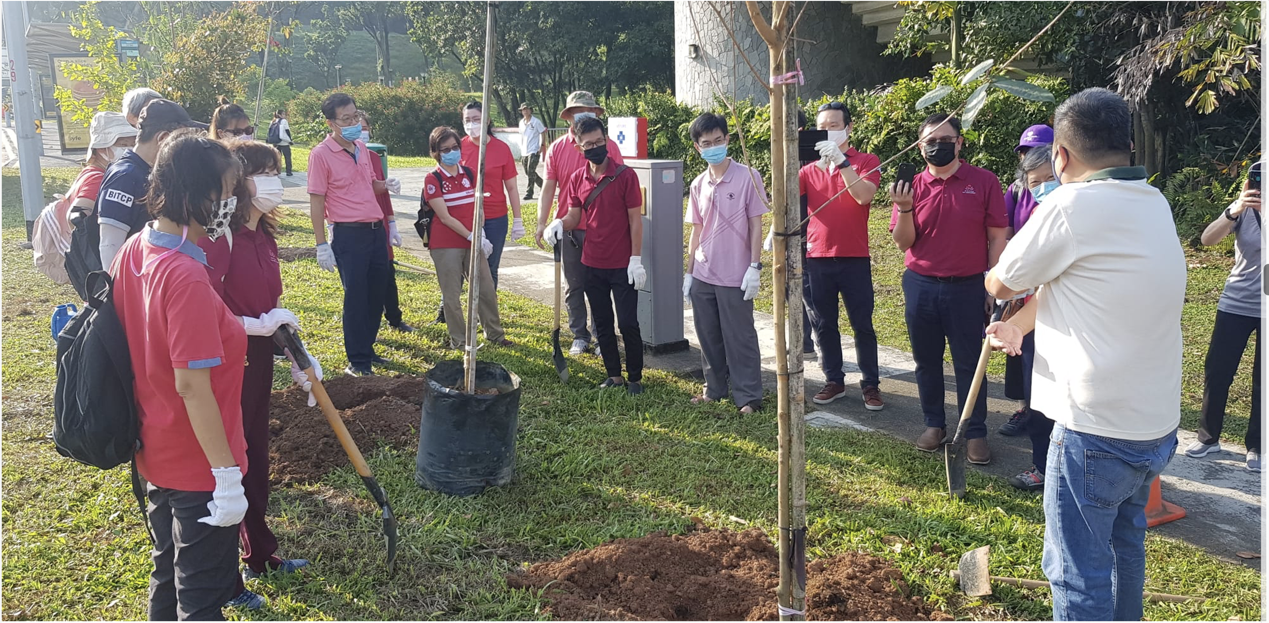 播出爱心的种子