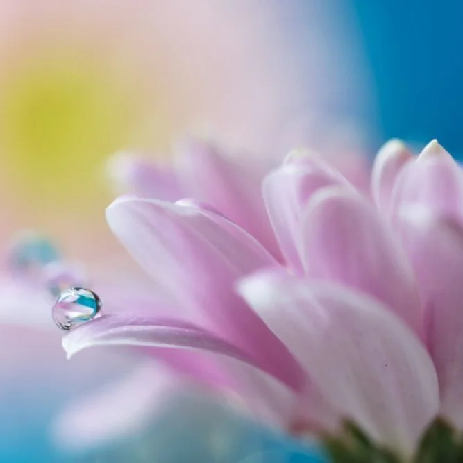 【 Going for Refuge to the Three Jewels 皈依 】Nirvana starts from taking refuge 涅槃寂灭从皈依起