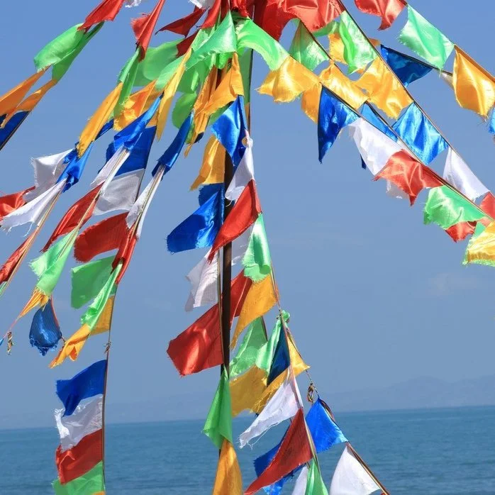 【 Going for Refuge to the Three Jewels 皈依 】How to practice the sublime teachings？ 如何修行正法?