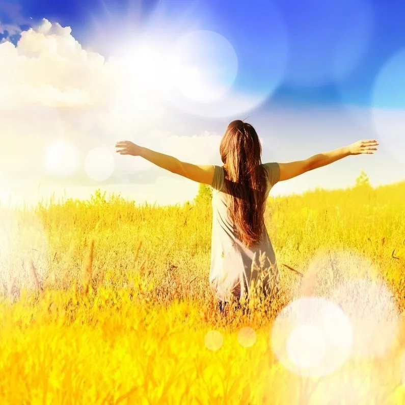 【 The General Characteristic of Karma 业果】Even a little bit of happiness is the result of virtuous karma  少分快乐亦是善业所感