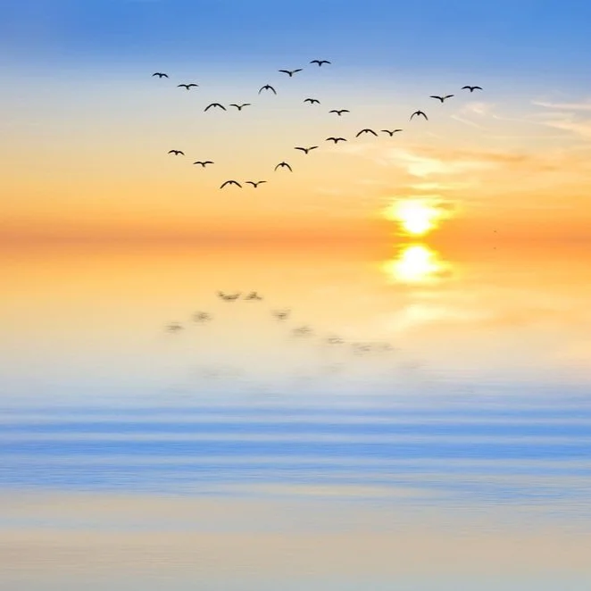 【 The General Characteristic of Karma 业果】Bring along virtuous karma with you 带善业上路