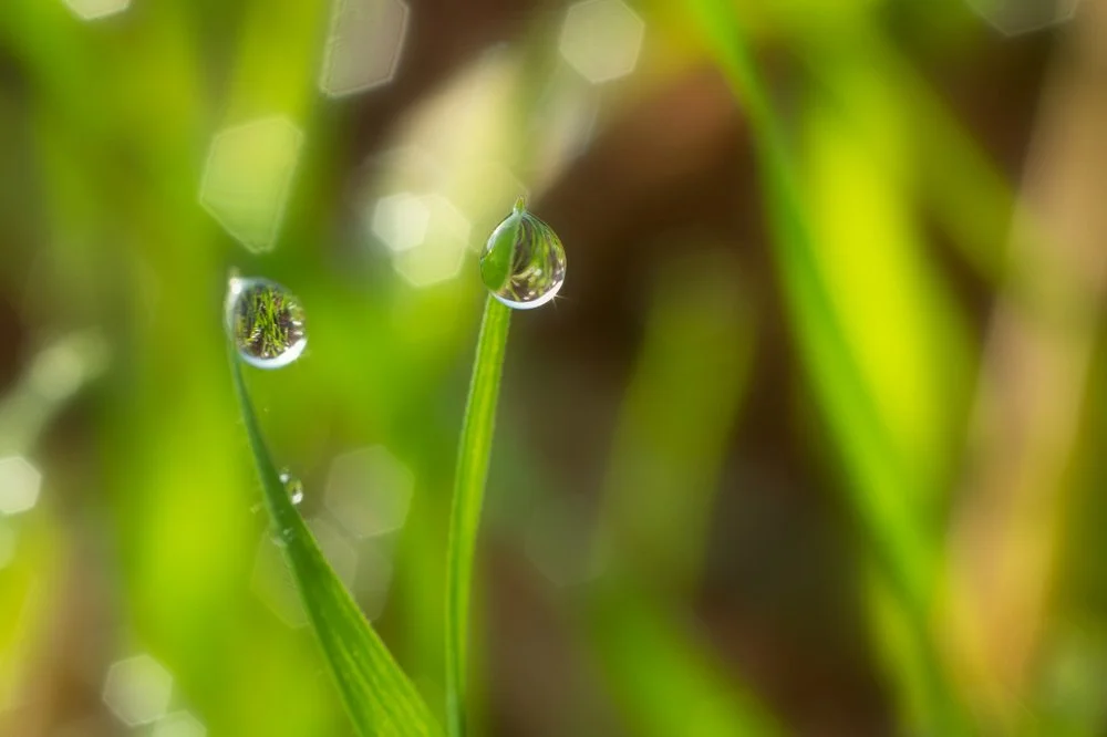 【 The Varieties of Karma 业果】When in other-directed, it involves self-directed 观待他当中，含观待自