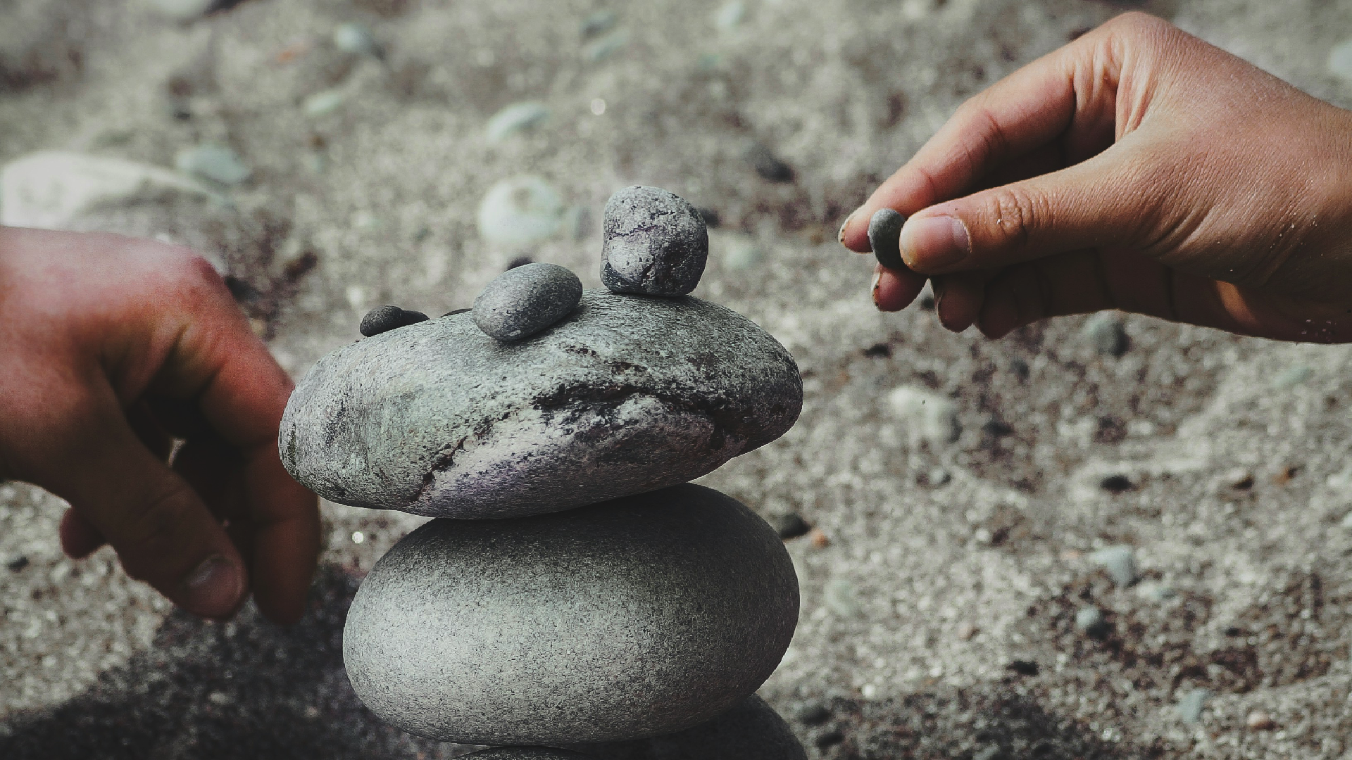 【The Origin of Suffering 希求解脱】Being led by the force of karma 由业力导引