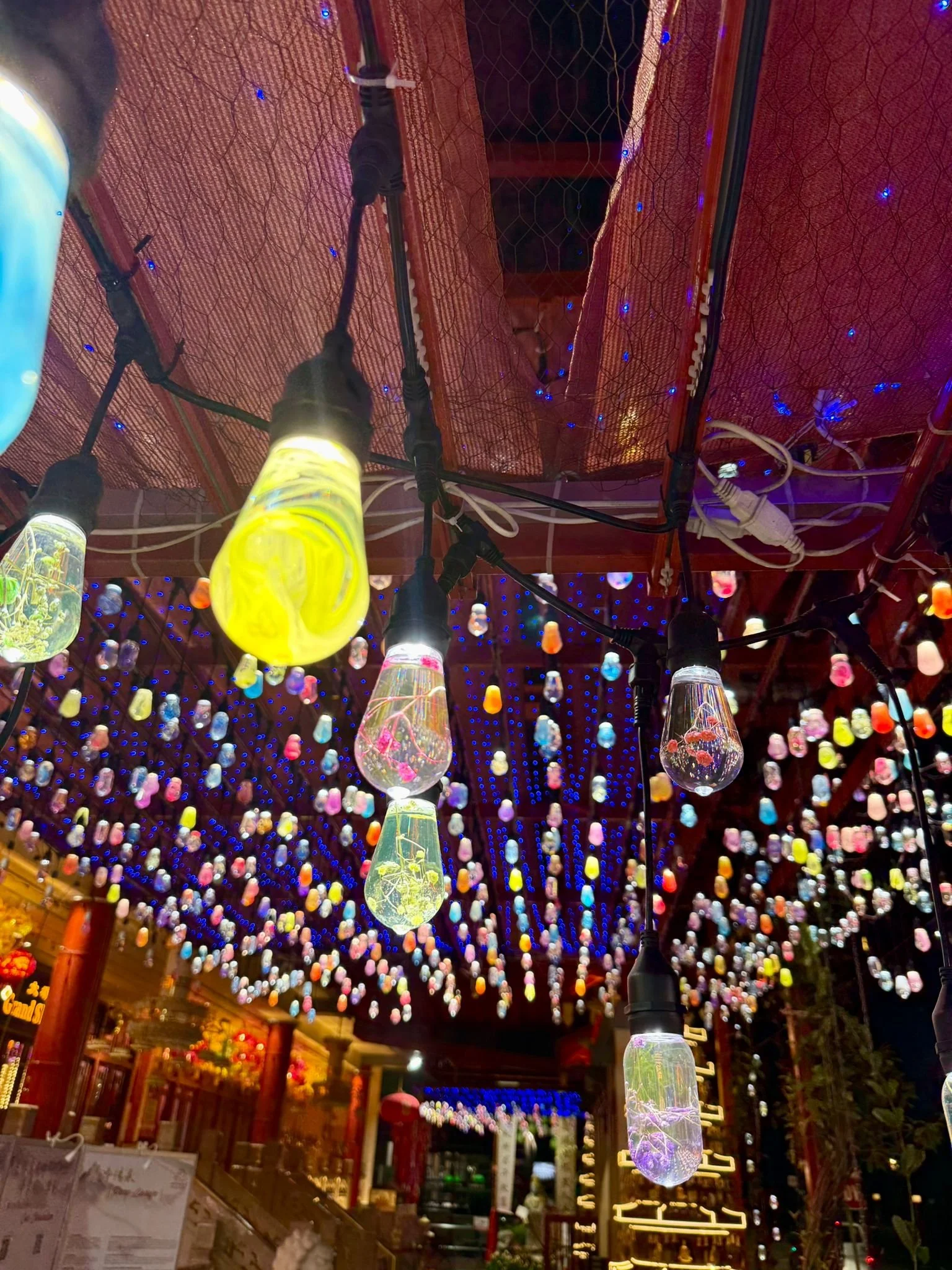 WhatsApp Image 2025-12-02 at 11.58.05 AM.jpeg