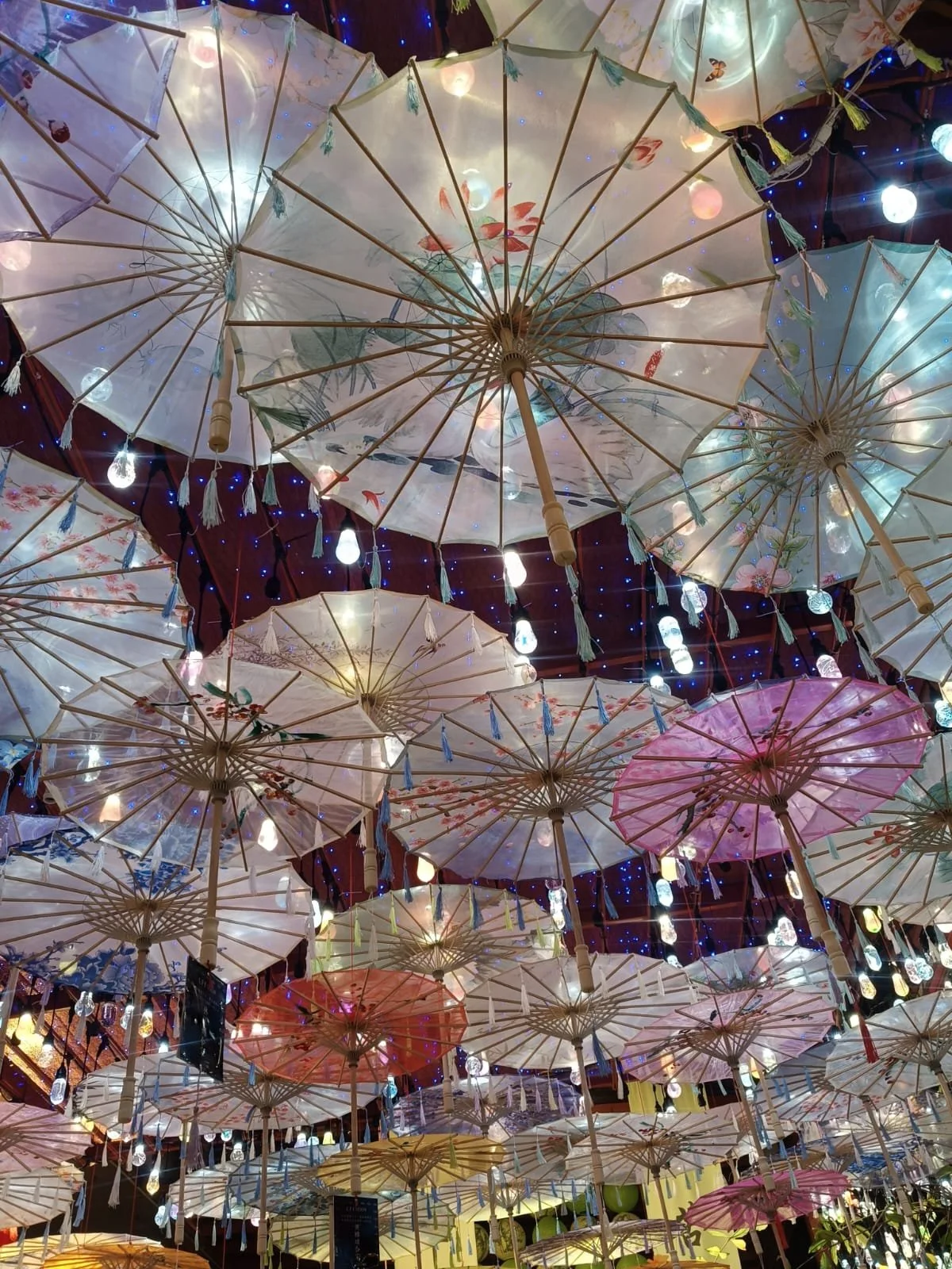 WhatsApp Image 2025-12-02 at 11.58.04 AM.jpeg