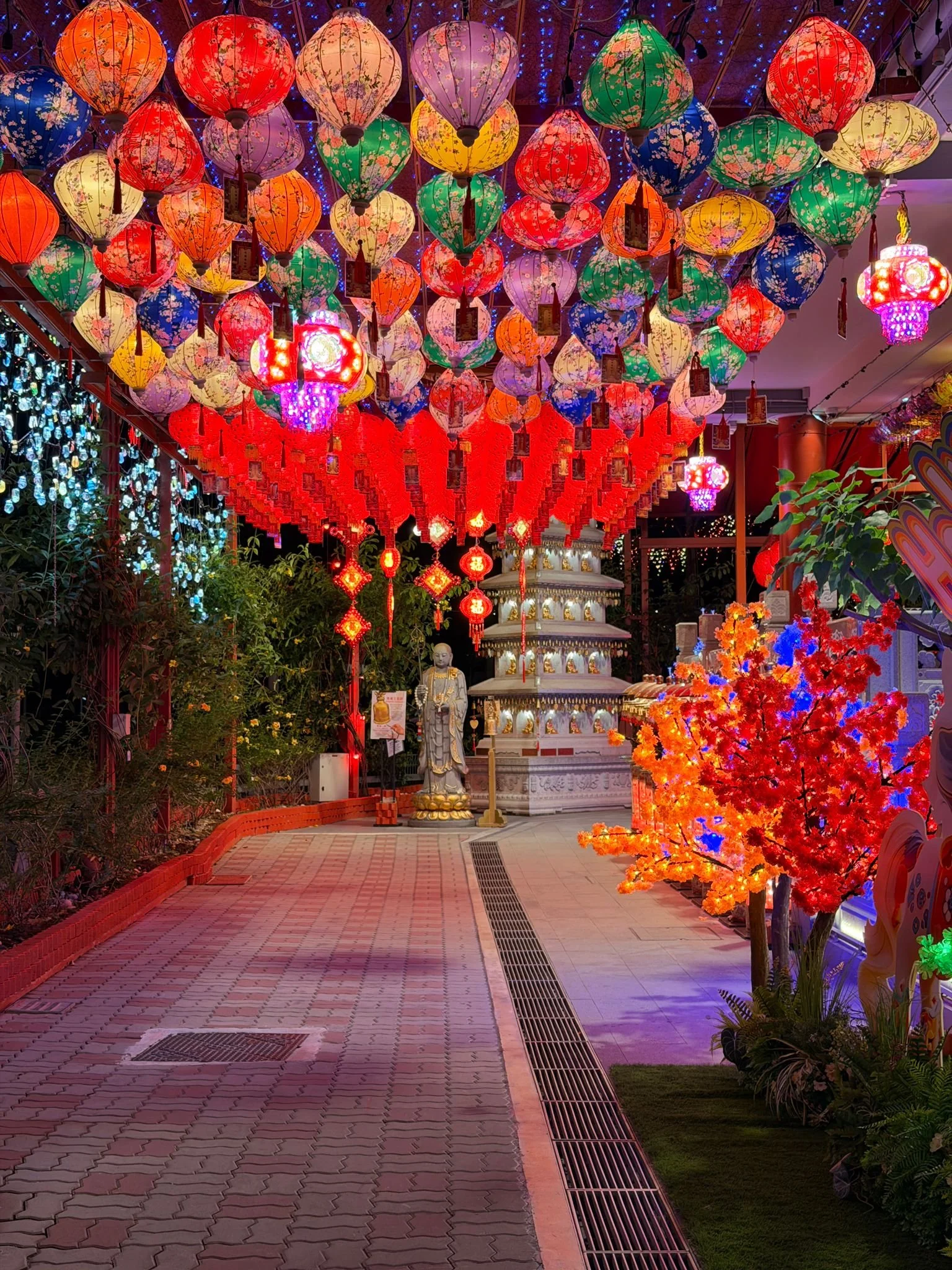 WhatsApp Image 2026-02-02 at 11.14.25 PM.jpeg