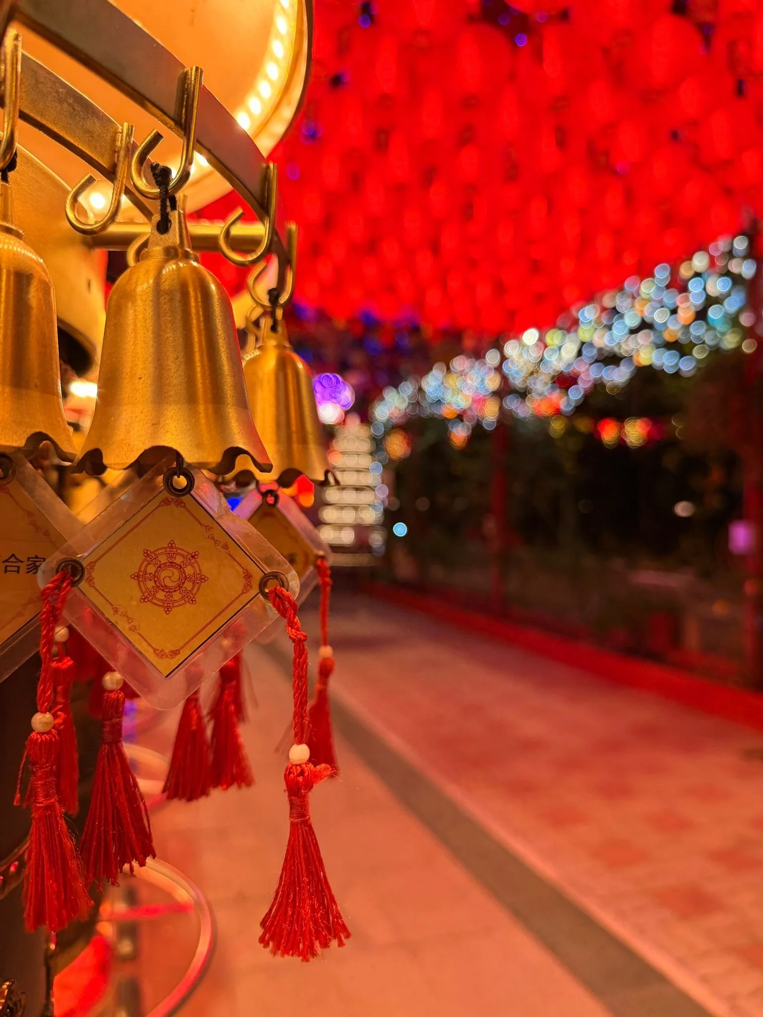 WhatsApp Image 2026-02-02 at 11.14.02 PM (2).jpeg