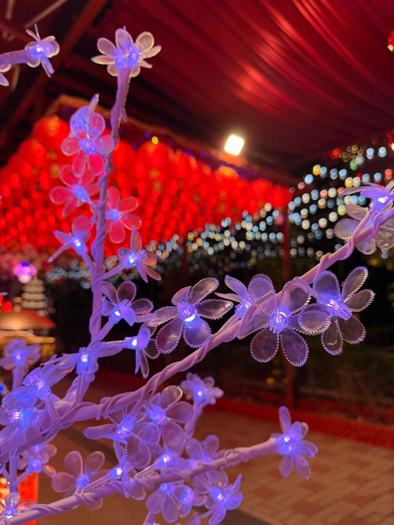 WhatsApp Image 2026-02-02 at 11.14.02 PM (1).jpeg