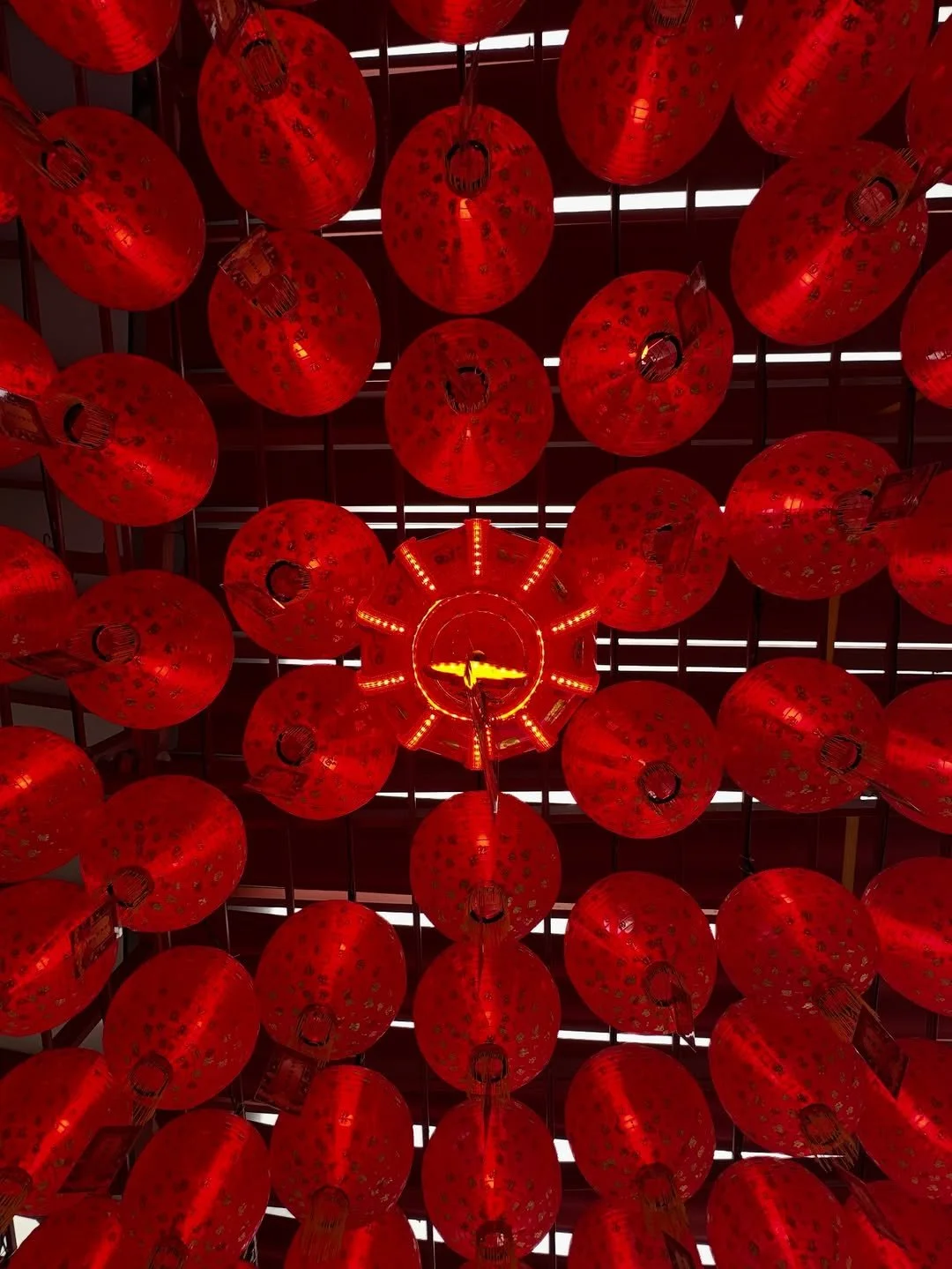 oasisinframes 14.jpg