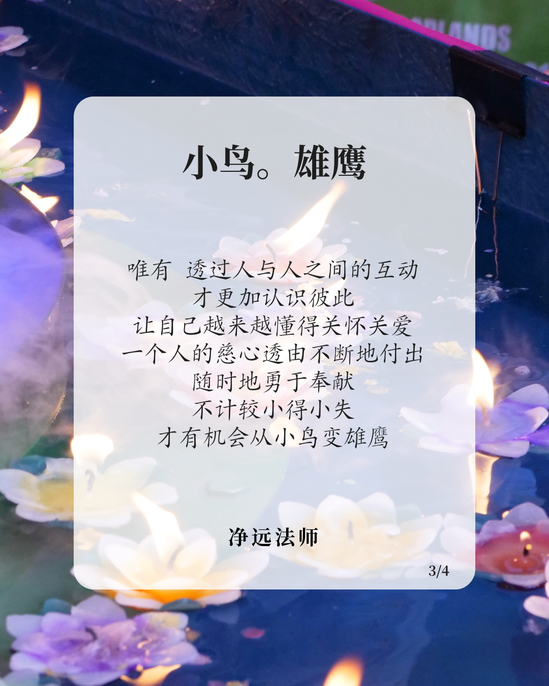 净远法师文集 (2).png