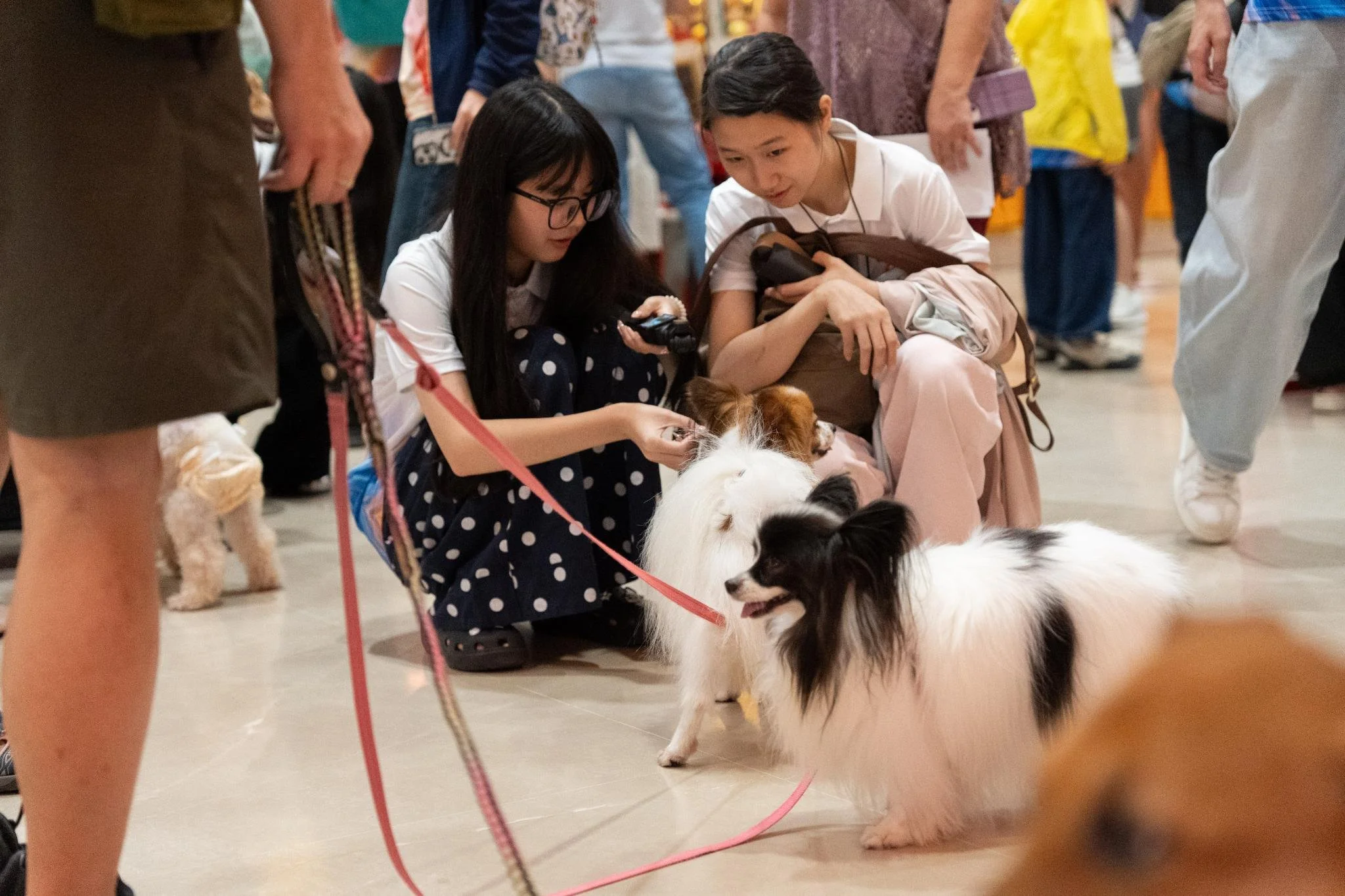 Pet Blessing Puja - 5.jpg