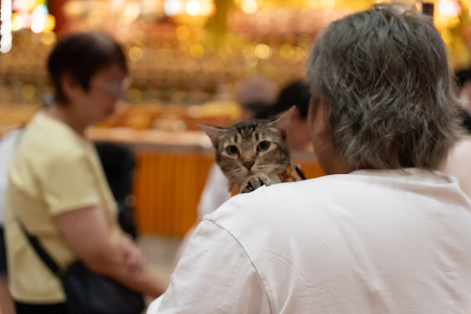 Pet Puja - Booth 1.jpeg