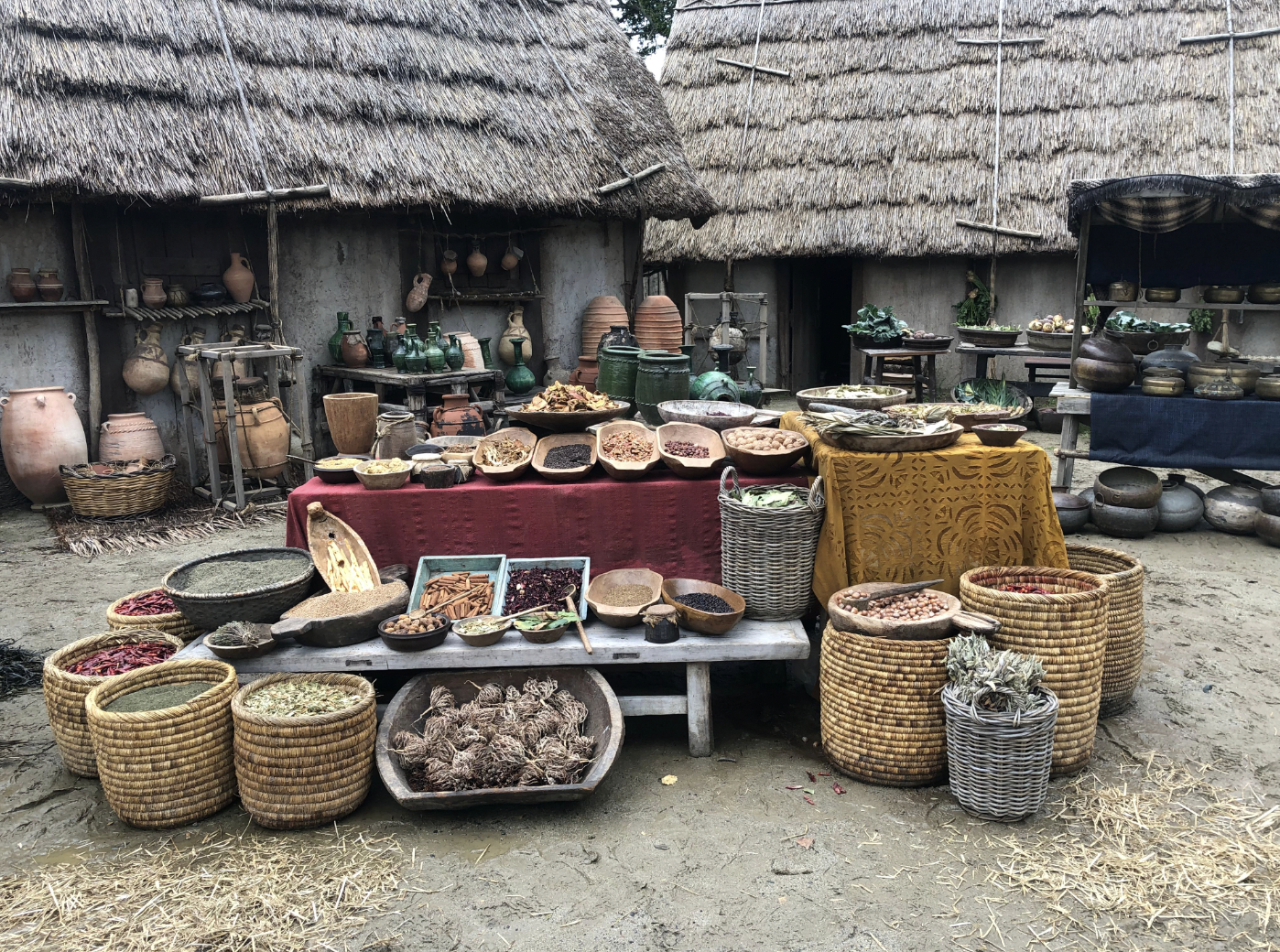 Screen Shot 2023-02-13 at 12.32.13 PM.PNG