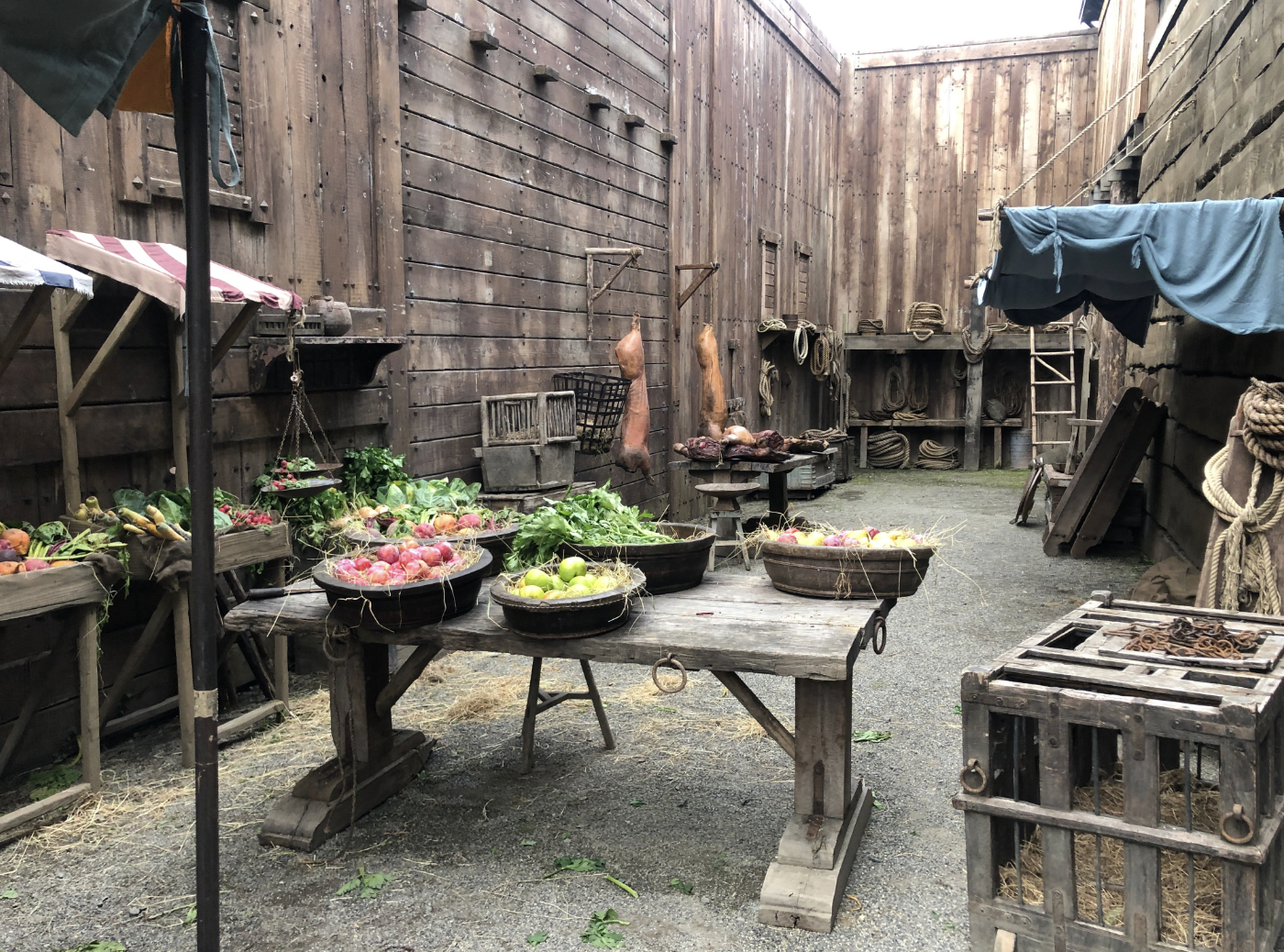 Screen Shot 2023-02-13 at 12.34.16 PM.PNG