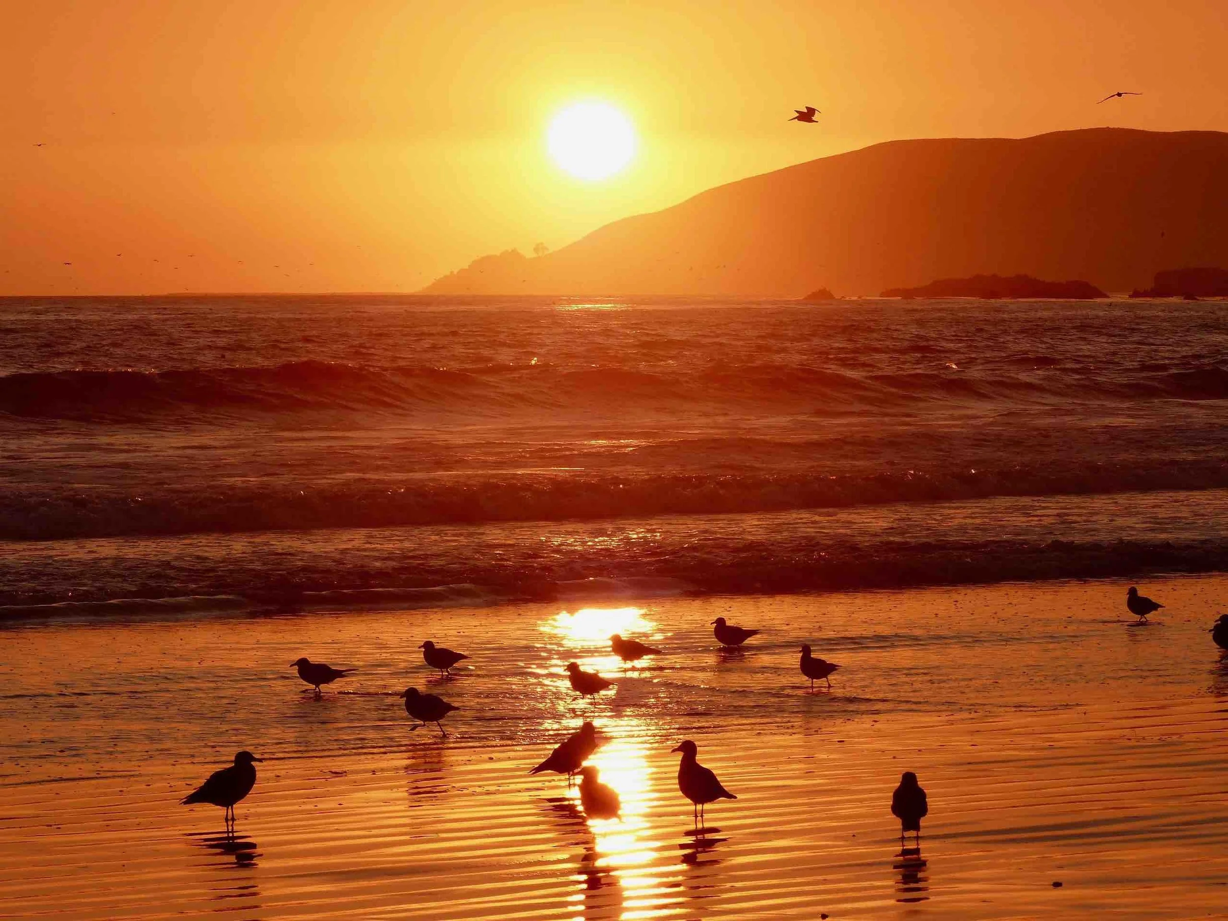 Pismo Beach.jpg