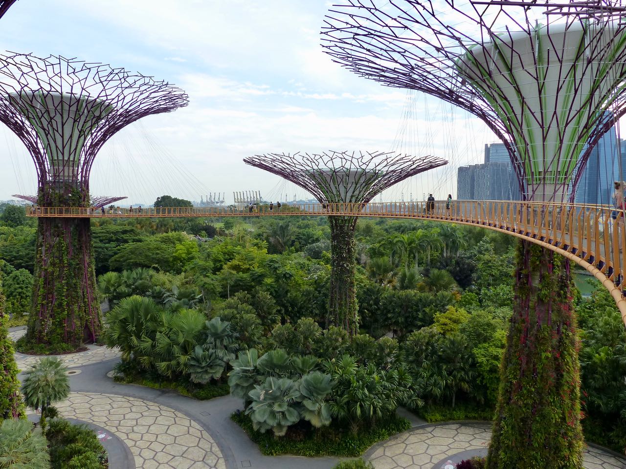 Gardens by the bay Singapur
