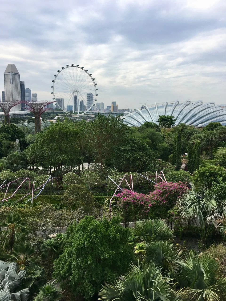 Ausblick vom Skywalk in den Super Trees