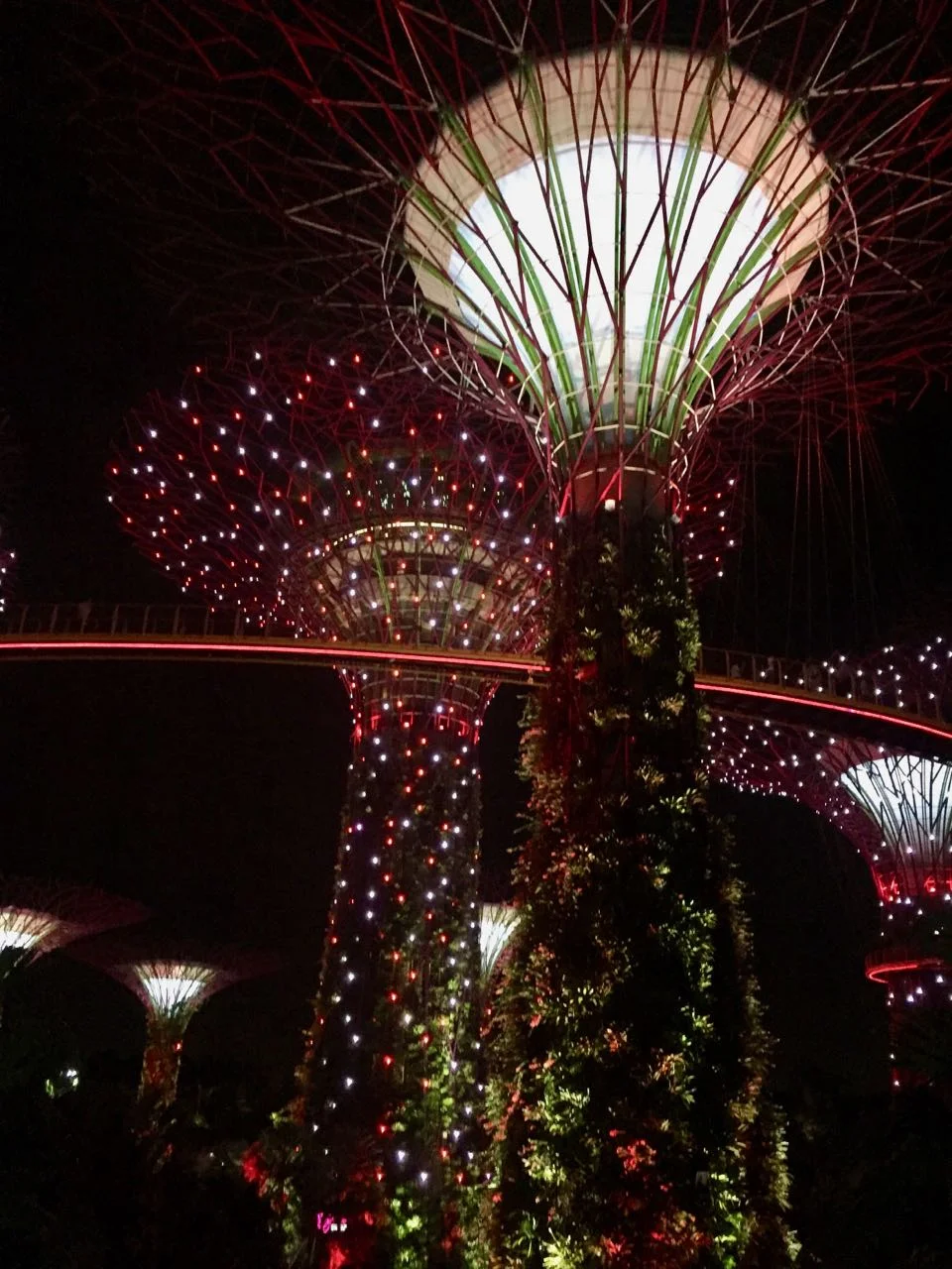 supertree by night.jpg