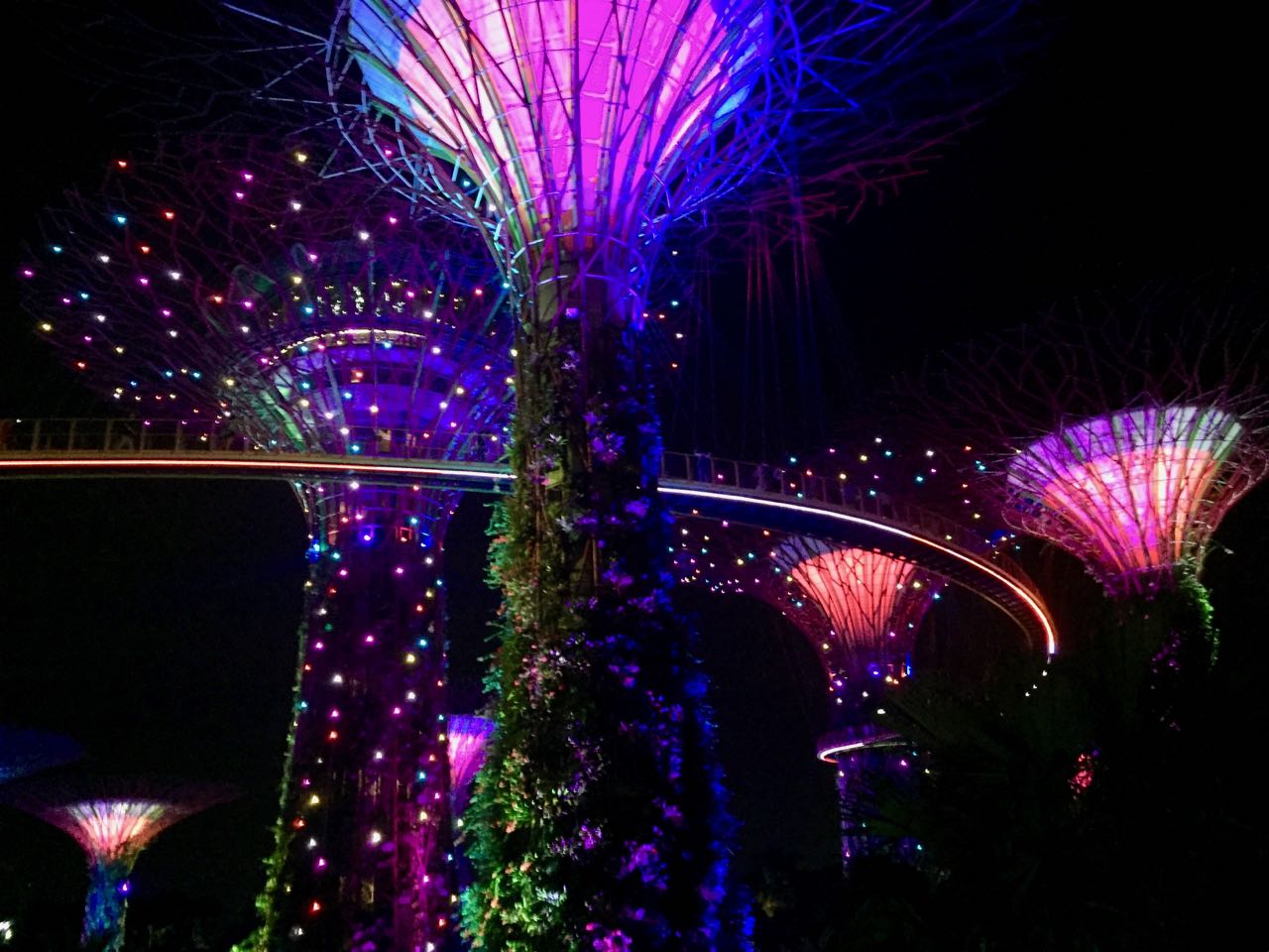 supertrees by night.jpg