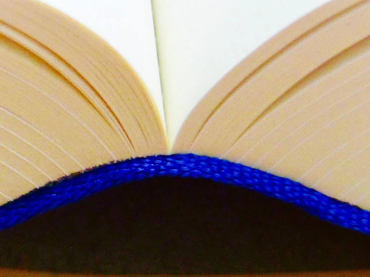 aufgeschlagenes Buch