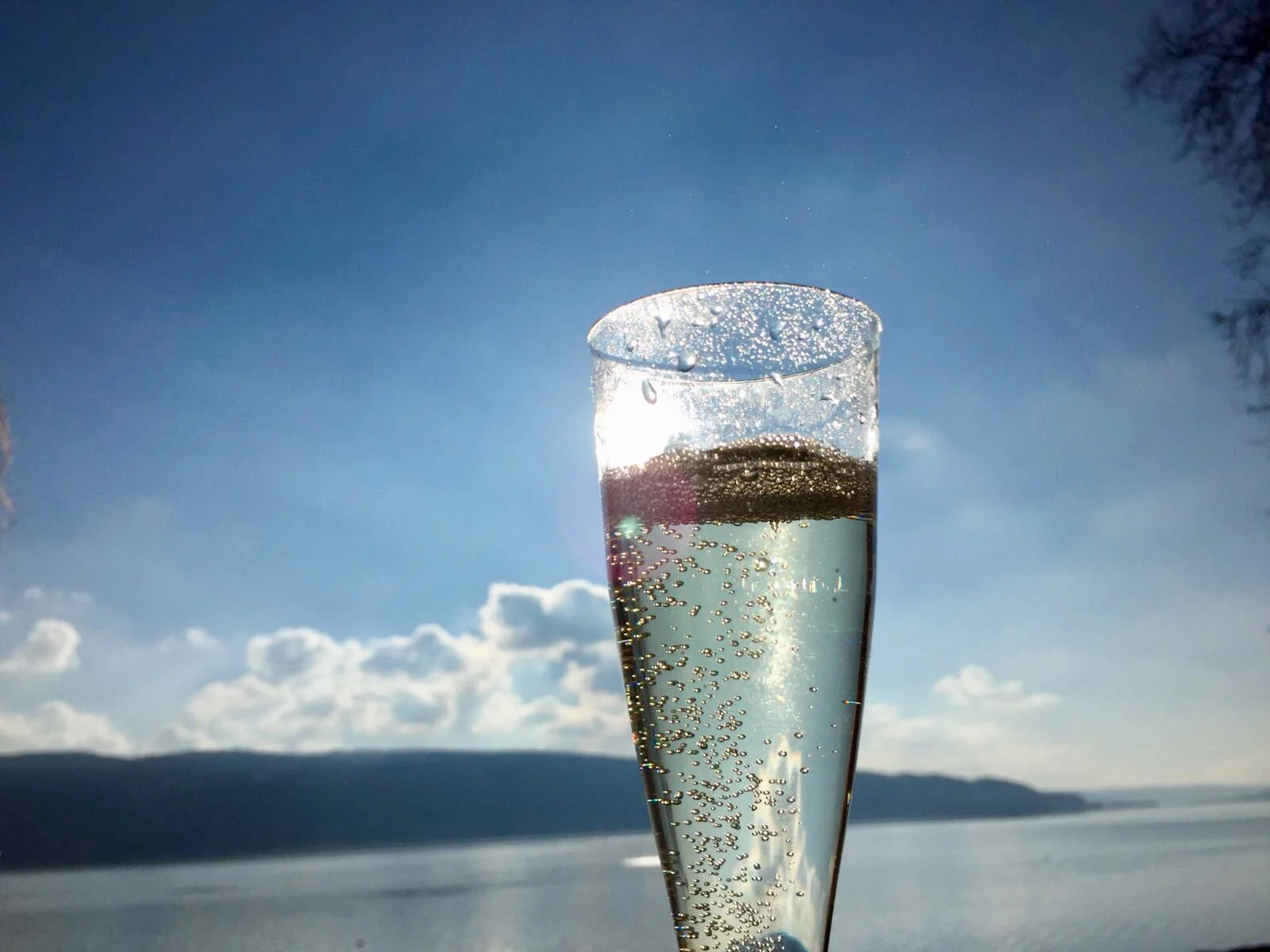Sektglas am Bodensee