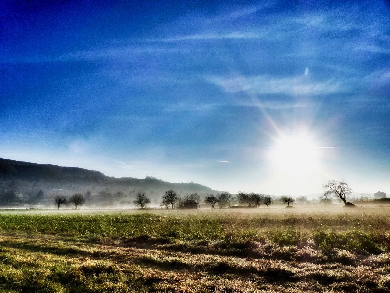 Sonne über der Wiese mit Nebel